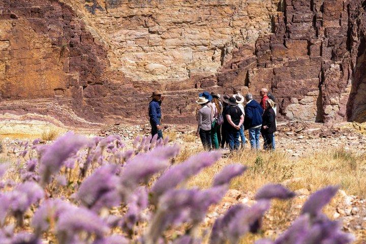 West MacDonnell Ranges-Tagesausflug von Alice Springs