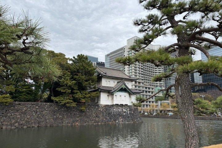 皇居・東御苑プライベートウォーキングツアー