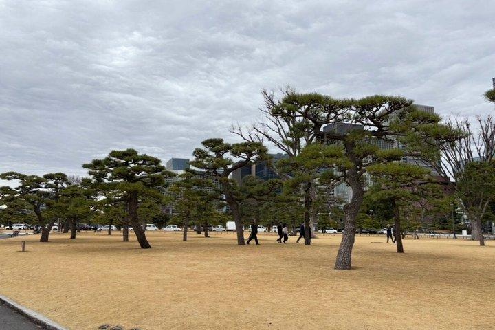 皇居・東御苑プライベートウォーキングツアー
