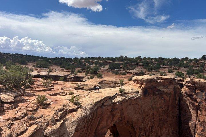 Private Moab Backcountry Scenic Tour