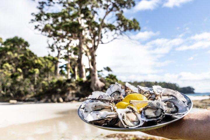 All Inclusive Bruny Island Tagestour plus geführte Leuchtturmtour