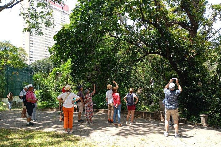 Maputo Attractive Walking Tours