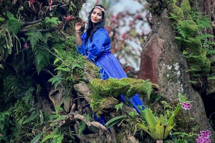 サリ・ティンブル・アートギャラリー入場券