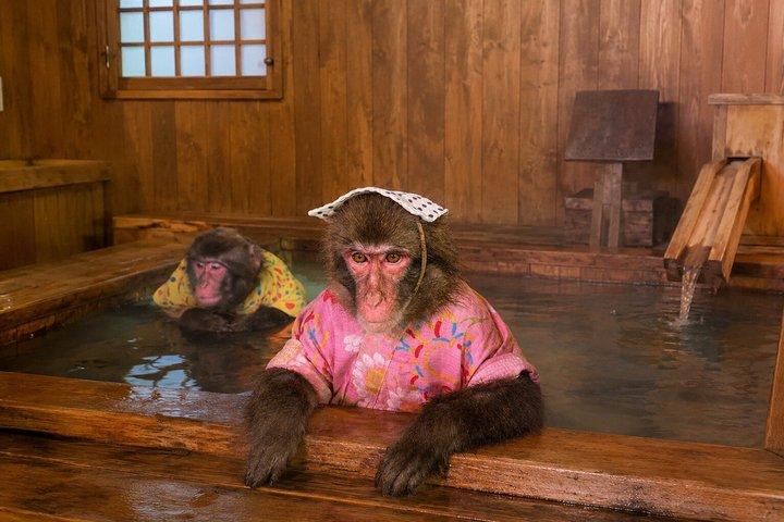 プライベート2日間の温泉逃避行で軽井沢へ