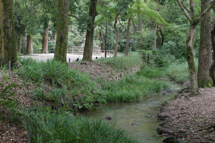 京都での秋の生け花と抹茶体験