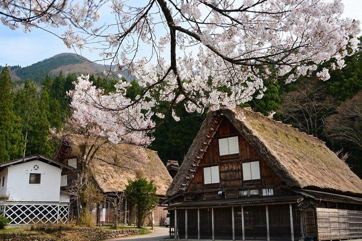 名古屋・高山・白川郷 小グループ日帰り旅行