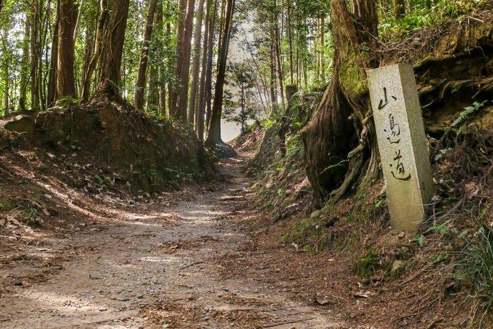 京都の最古の道 山の部道 ハイキングツアー
