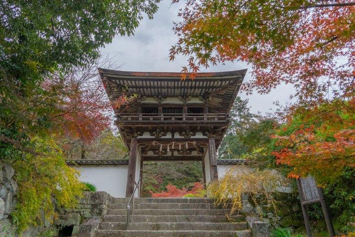 京都の最古の道 山の部道 ハイキングツアー