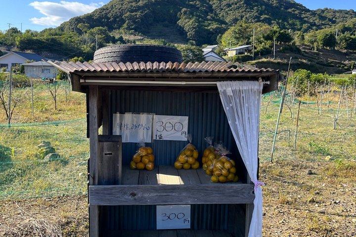 京都の最古の道 山の部道 ハイキングツアー