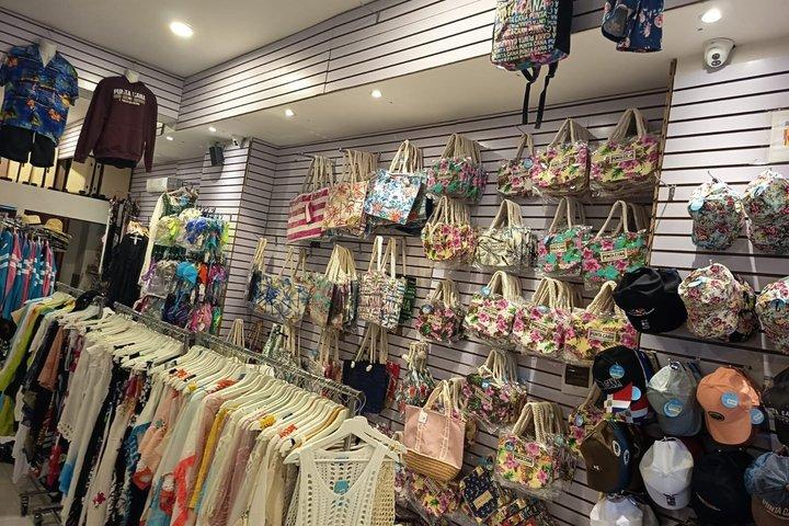 市内観光と半日サファリ体験