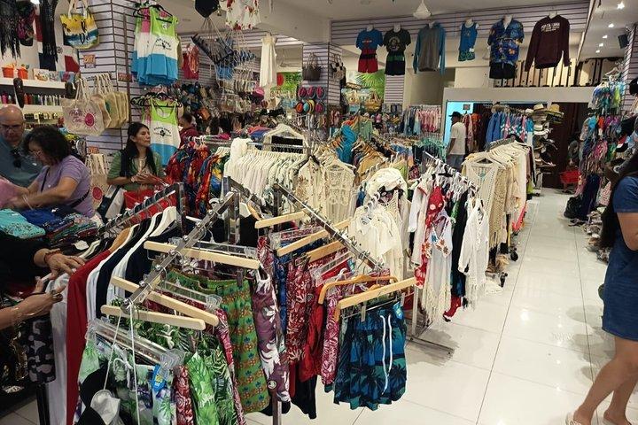 市内観光と半日サファリ体験