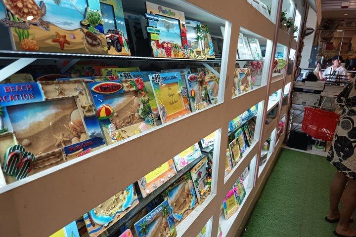 市内観光と半日サファリ体験