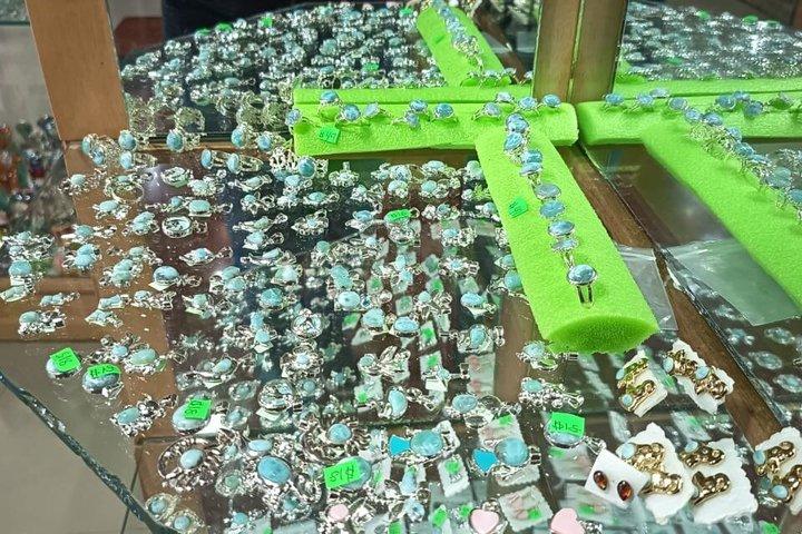 市内観光と半日サファリ体験