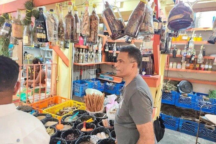市内観光と半日サファリ体験