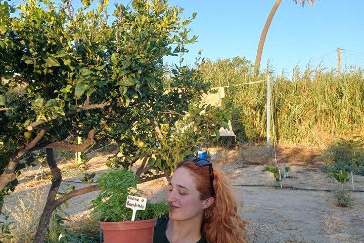 Naxos Herbal Garden Experience: Plant, Explore & Adopt Your Herb