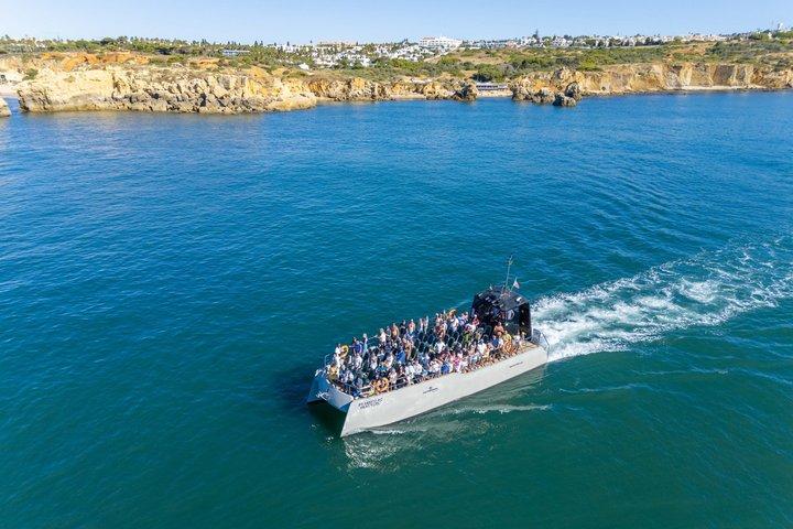 Albufeira: Dolphins & Benagil Caves with Marine Biologist