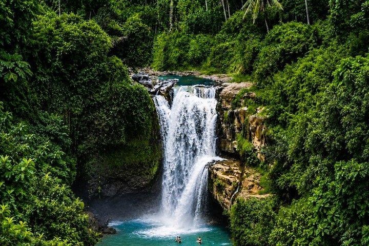 Ubud ATV Ride through Elephant Cave Monkey Forest and Waterfall