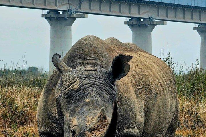 ナイロビ国立公園の半日ガイドツアー；都市のスカイライン