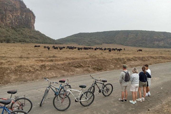 ヘルスゲートへの思い出に残る日帰り旅行とボートツアー