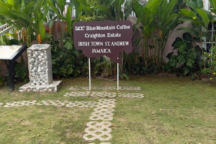 Private Kingston & Bob Marley Tour from Montego Bay: Customizable