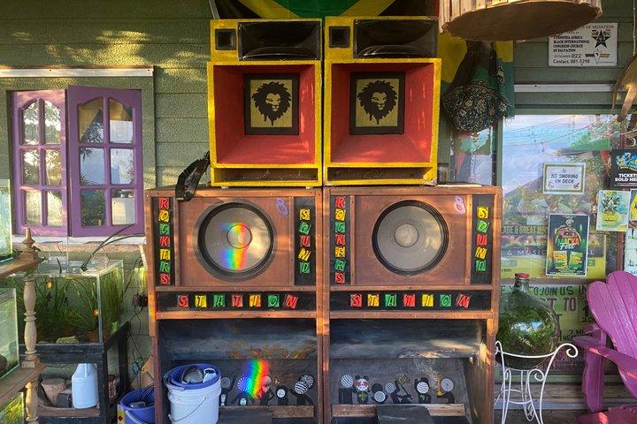 Private Kingston & Bob Marley Tour from Montego Bay: Customizable