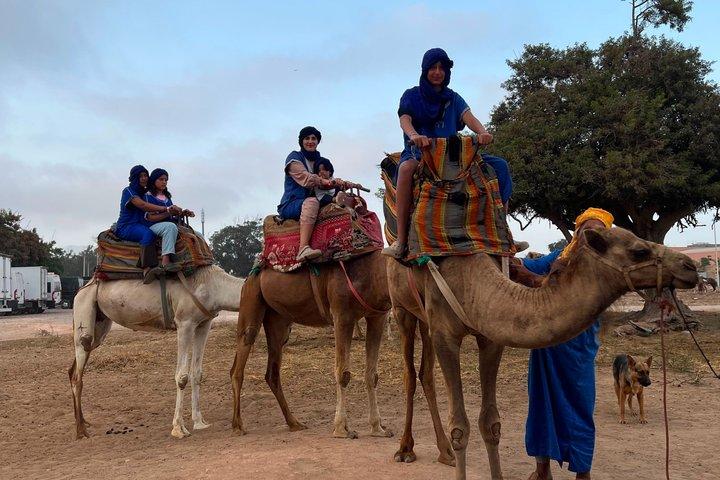 Agadir Sunset Camel Ride with BBQ Dinner & Couscous