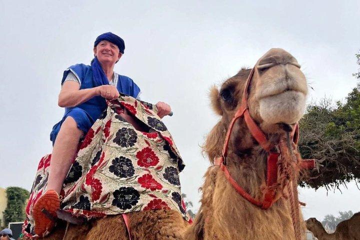 Agadir Sunset Camel Ride with BBQ Dinner & Couscous