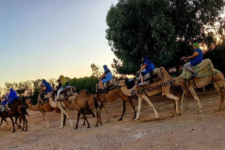 Agadir Sunset Camel Ride with BBQ Dinner & Couscous