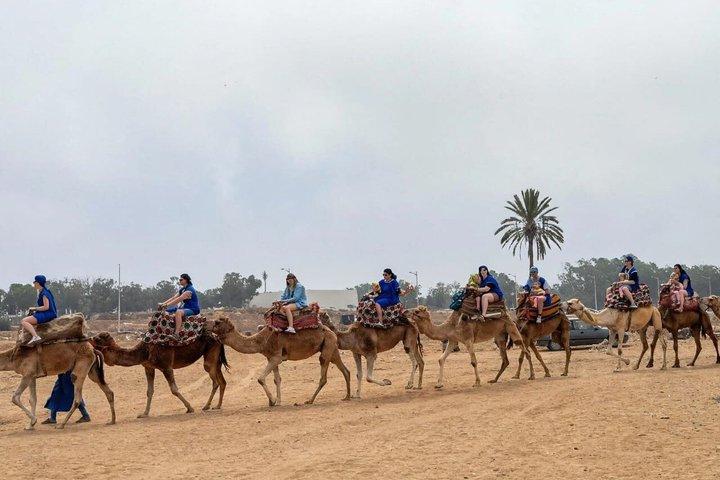 Agadir Sunset Camel Ride with BBQ Dinner & Couscous