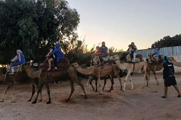 Agadir Sunset Camel Ride with BBQ Dinner & Couscous