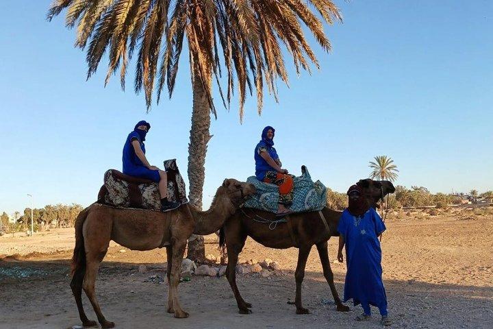 Agadir Sunset Camel Ride with BBQ Dinner & Couscous