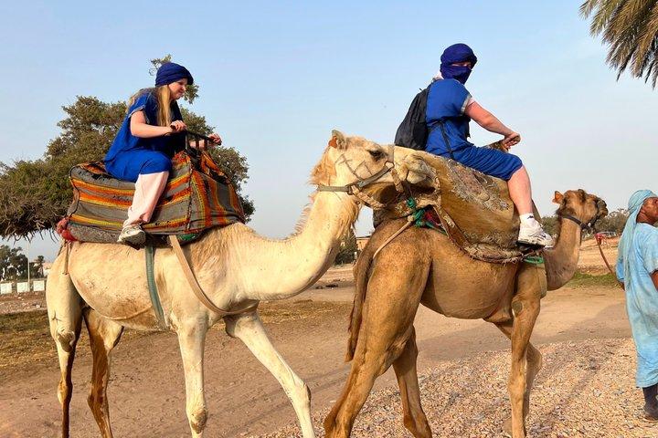 Agadir Sunset Camel Ride with BBQ Dinner & Couscous