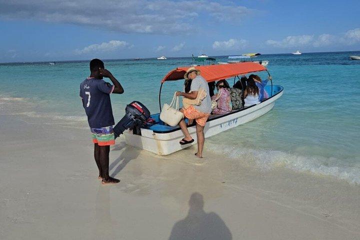 Mnemba Island Dolphin Swim and Snorkeling Excursion