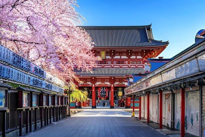 英語を話すドライバー付き東京プライベート日帰りツアー