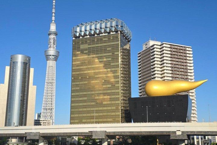 英語を話すドライバー付き東京プライベート日帰りツアー