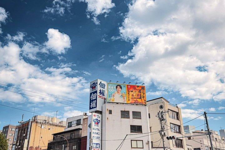 英語を話すドライバー付き東京プライベート日帰りツアー
