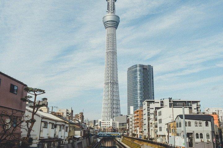 英語を話すドライバー付き東京プライベート日帰りツアー