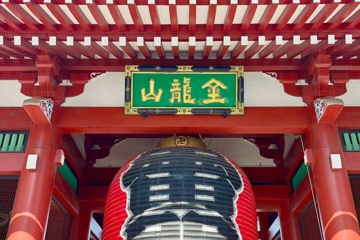 英語を話すドライバー付き東京プライベート日帰りツアー
