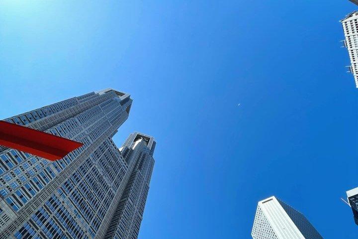 英語を話すドライバー付き東京プライベート日帰りツアー