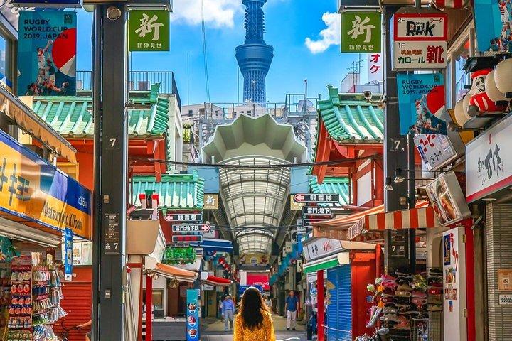 英語を話すドライバー付き東京プライベート日帰りツアー