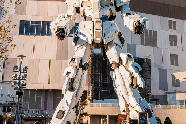 英語を話すドライバー付き東京プライベート日帰りツアー