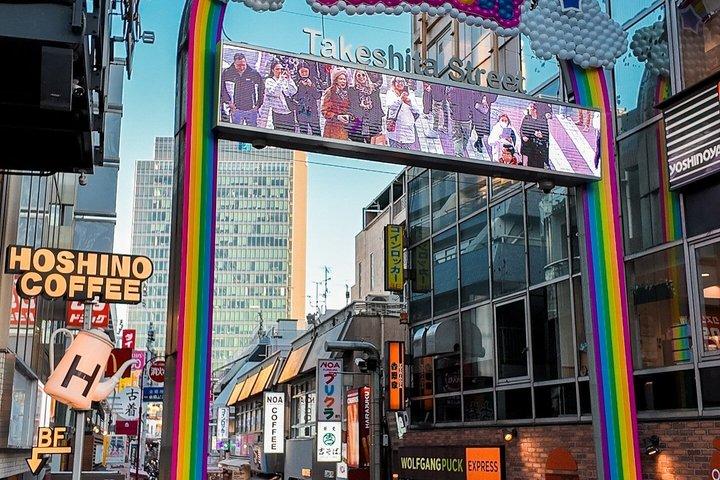 英語を話すドライバー付き東京プライベート日帰りツアー