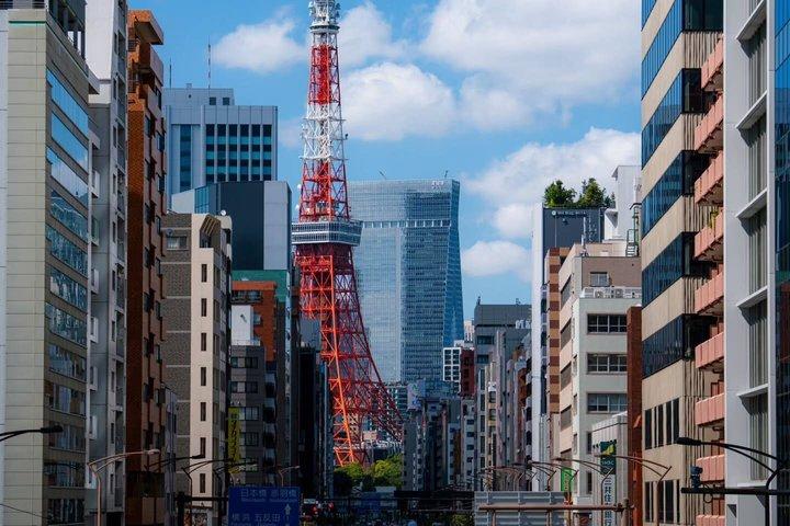 英語を話すドライバー付き東京プライベート日帰りツアー