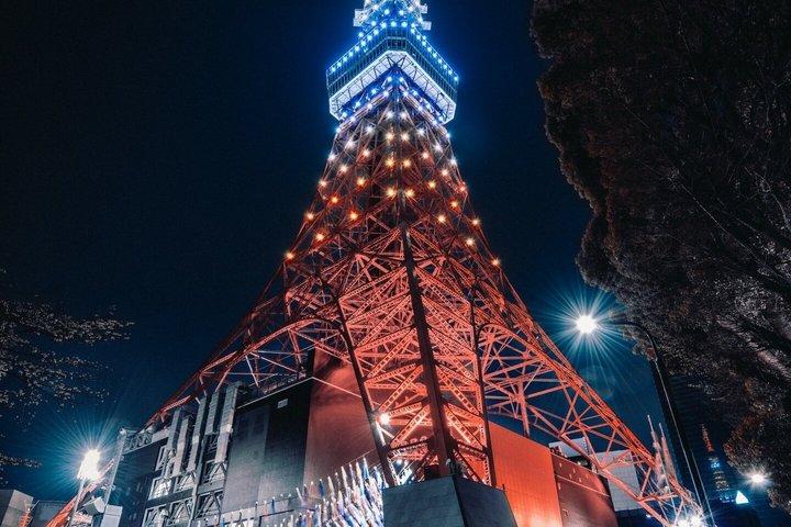 英語を話すドライバー付き東京プライベート日帰りツアー