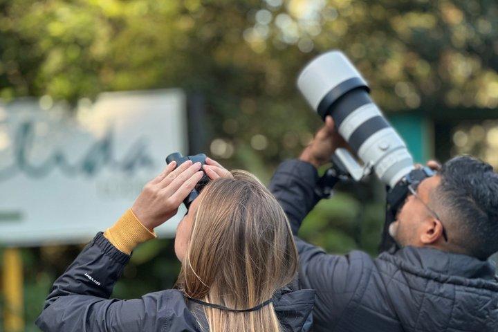 PRIVATE TARGET BIRDWATCHING EXPEDITION + free binoculars