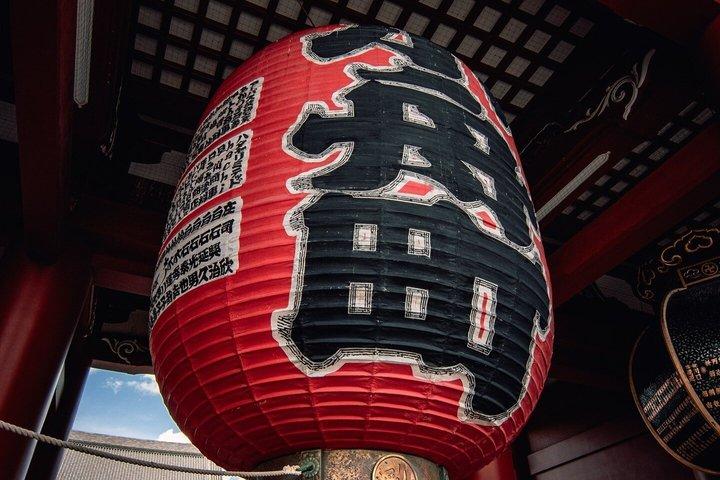 英語を話すドライバー付き東京プライベート日帰りツアー