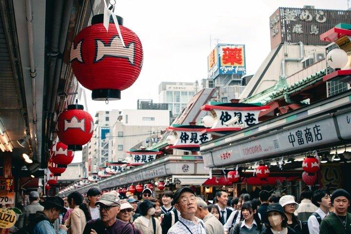 英語を話すドライバー付き東京プライベート日帰りツアー