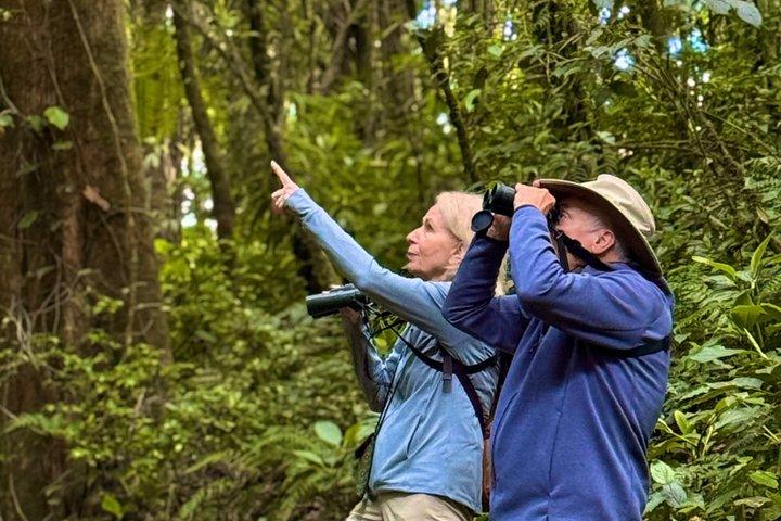 PRIVATE TARGET BIRDWATCHING EXPEDITION + free binoculars