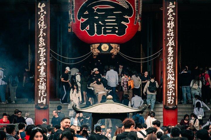英語を話すドライバー付き東京プライベート日帰りツアー