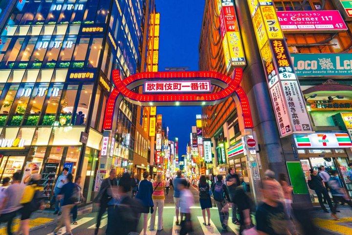 英語を話すドライバー付き東京プライベート日帰りツアー
